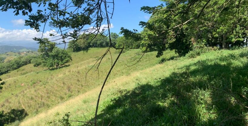 Terreno de Finca con Colinas y Bordeado por un Río