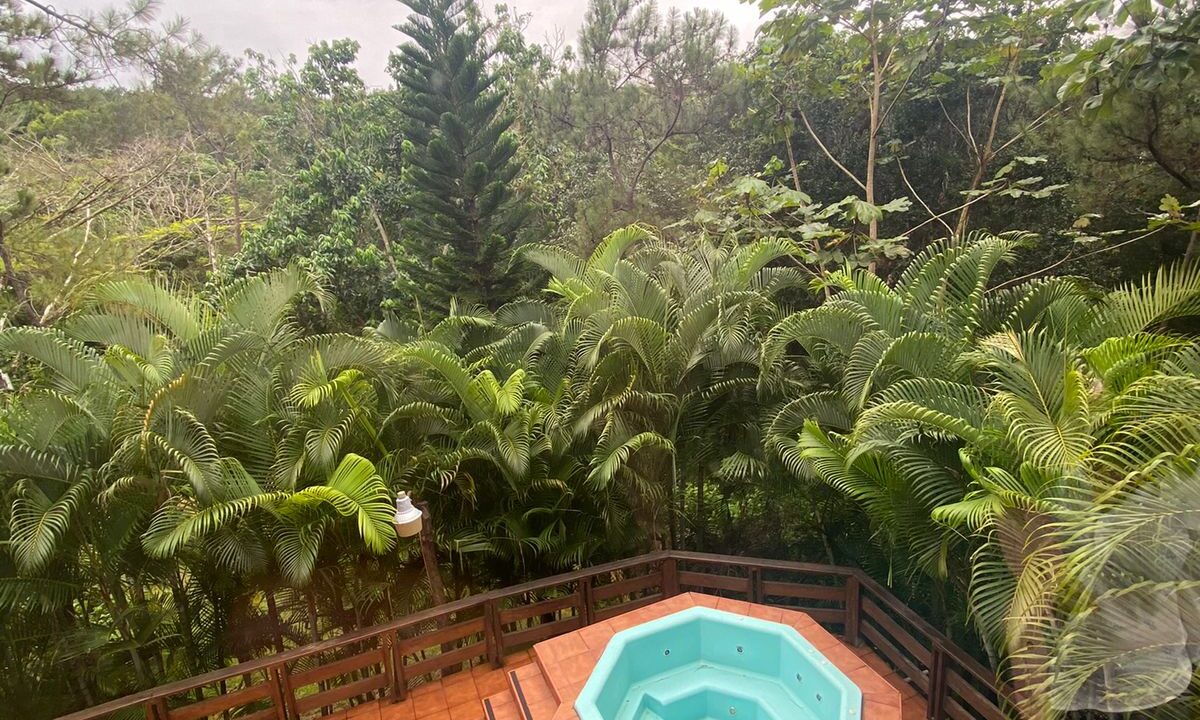 WhatsApp Image 2022-09-07 at 4.38.13 PM (1)