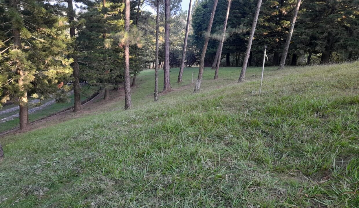 jarabacoa cabaña Marcos De Leon Suriel img2