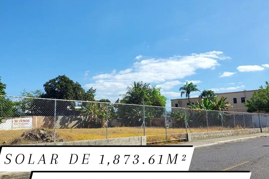 WhatsApp Image 2023-03-23 at 9.21.57 AM