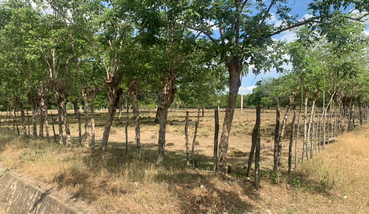 WhatsApp Image 2023-06-28 at 11.51.32 AM