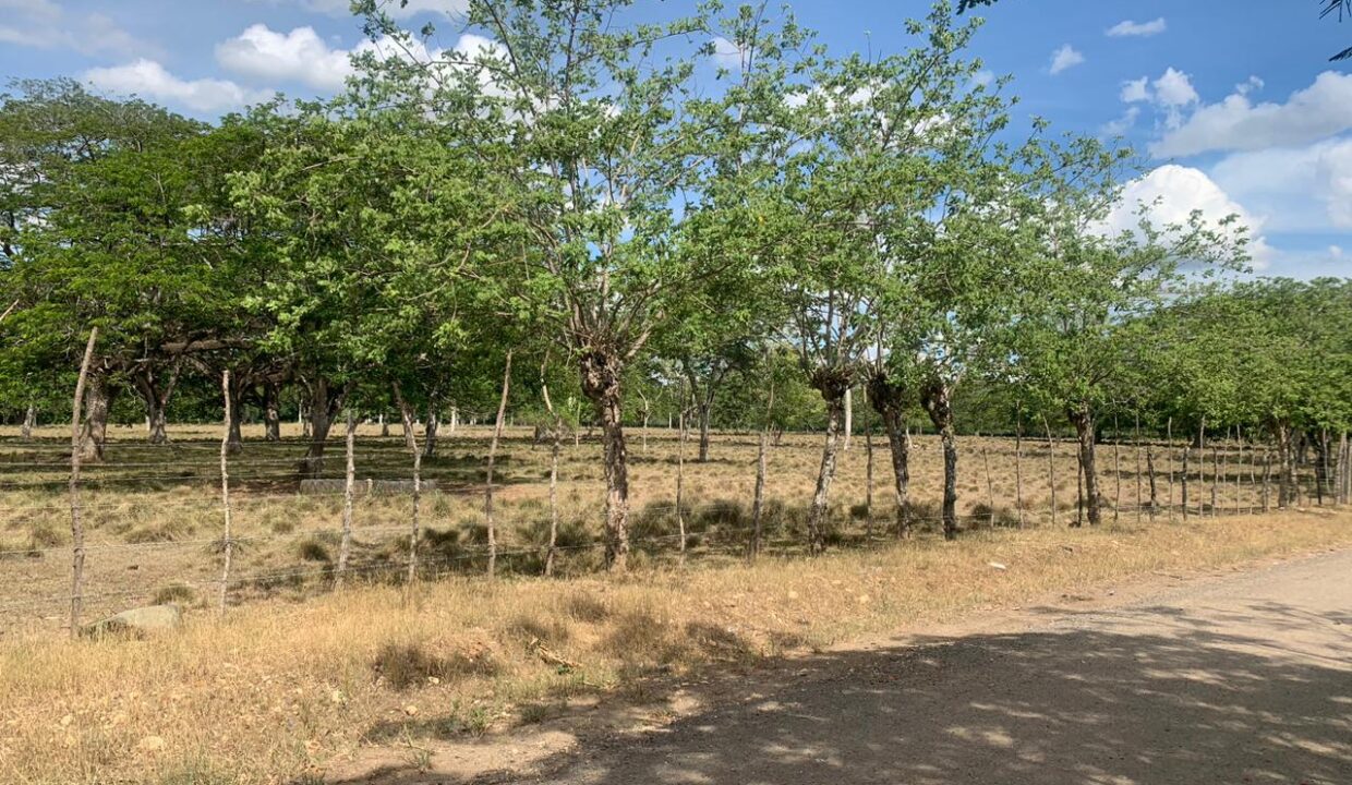 WhatsApp Image 2023-06-28 at 11.51.38 AM