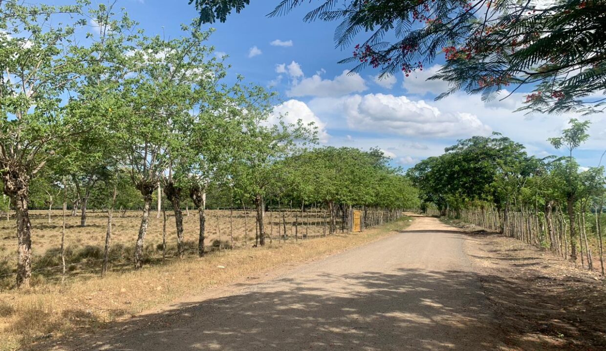 WhatsApp Image 2023-06-28 at 11.51.49 AM