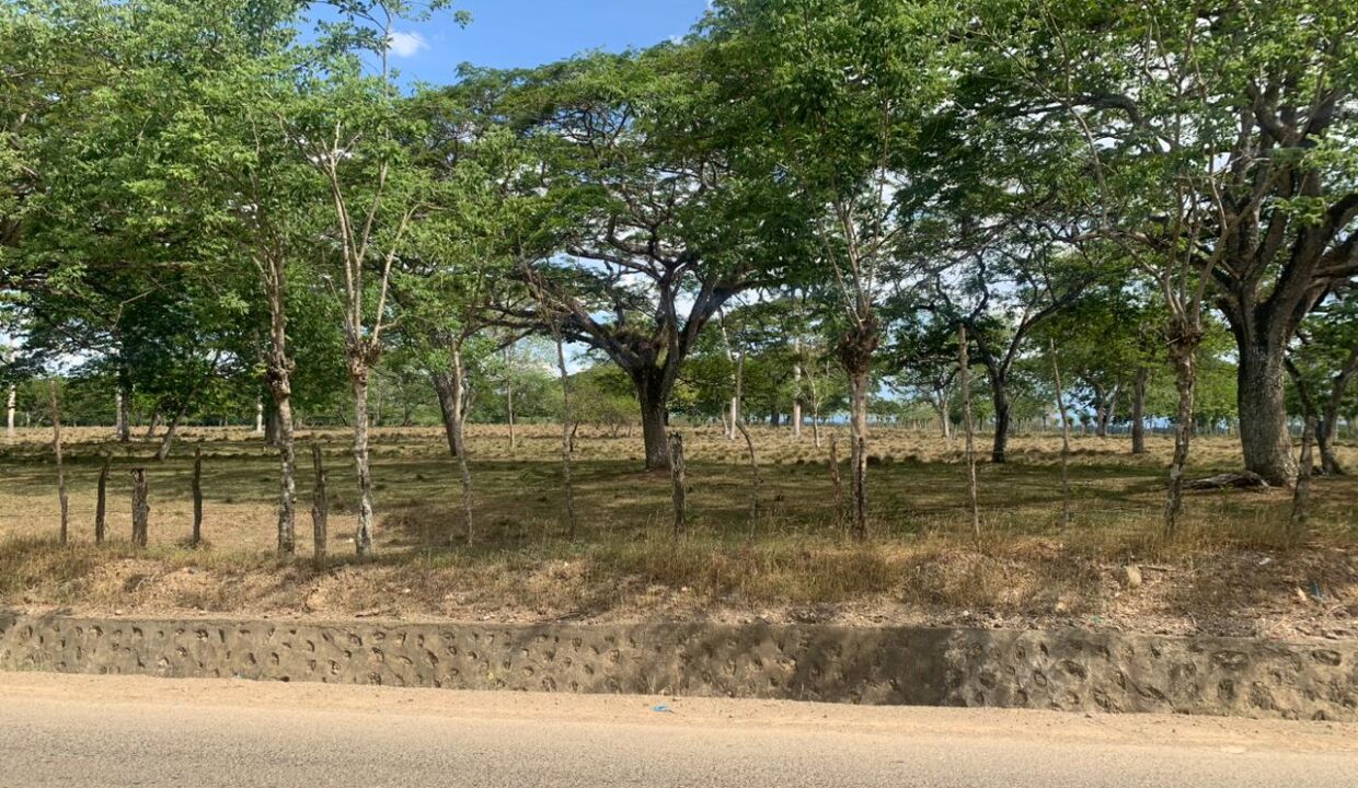 WhatsApp Image 2023-06-28 at 11.51.54 AM