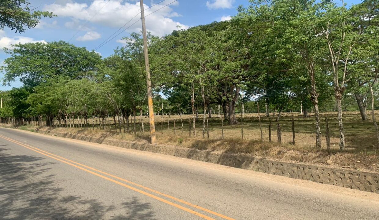 WhatsApp Image 2023-06-28 at 11.51.59 AM