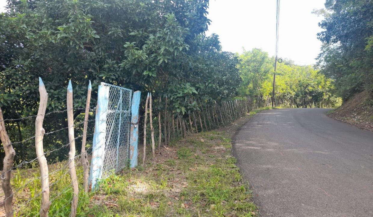3 finca 189 tareas aguacate limon y naranja agrias