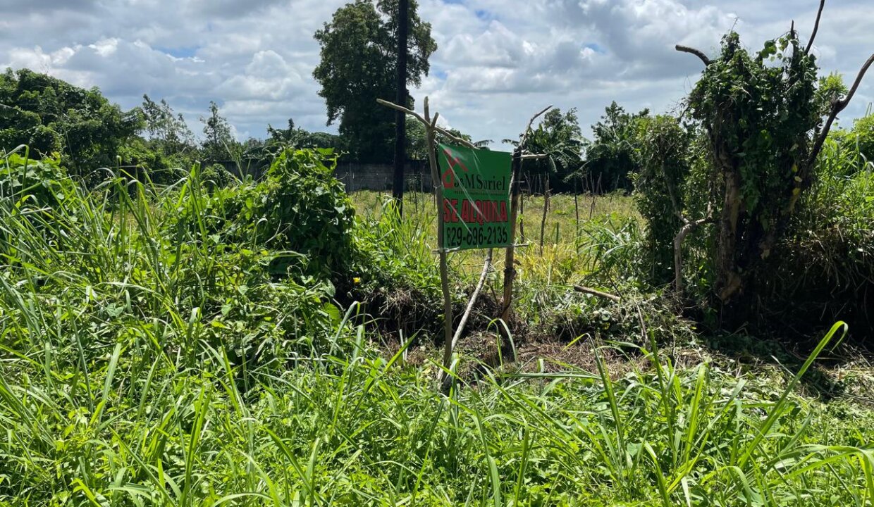 WhatsApp Image 2025-06-09 at 11.11.12 AM