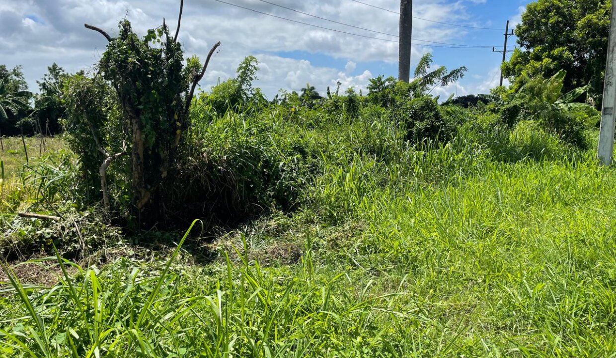 WhatsApp Image 2025-06-09 at 11.11.12 AM(1)