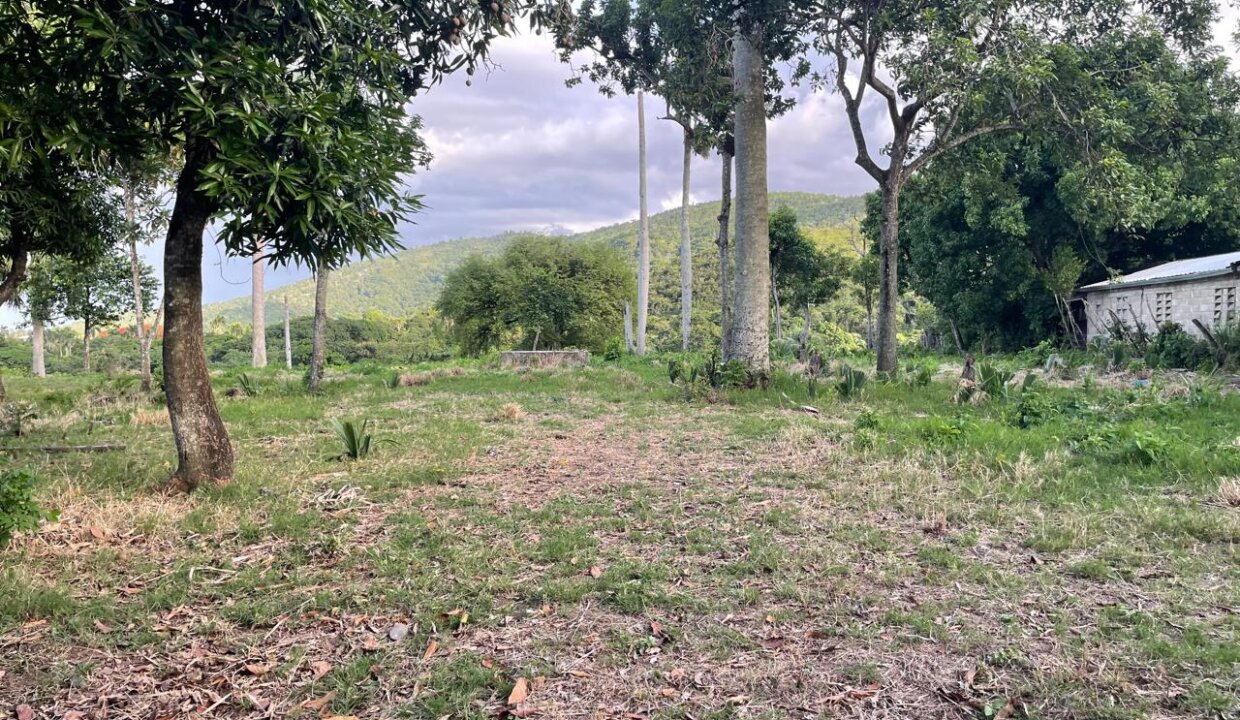 carretera-jarabacoa (4)