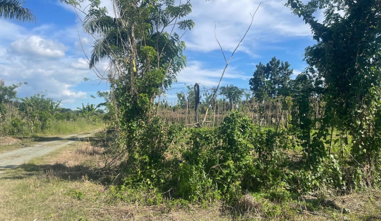 WhatsApp Image 2025-08-12 at 11.06.42 AM