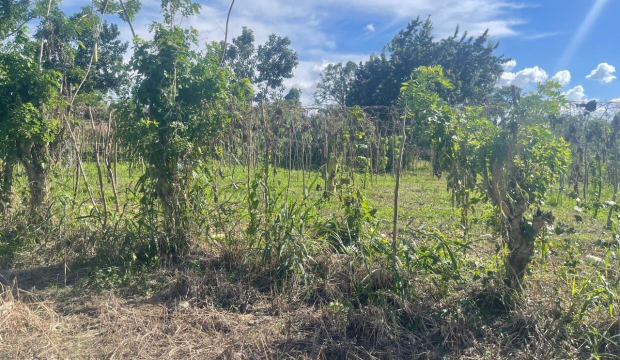 WhatsApp Image 2025-08-12 at 11.06.43 AM