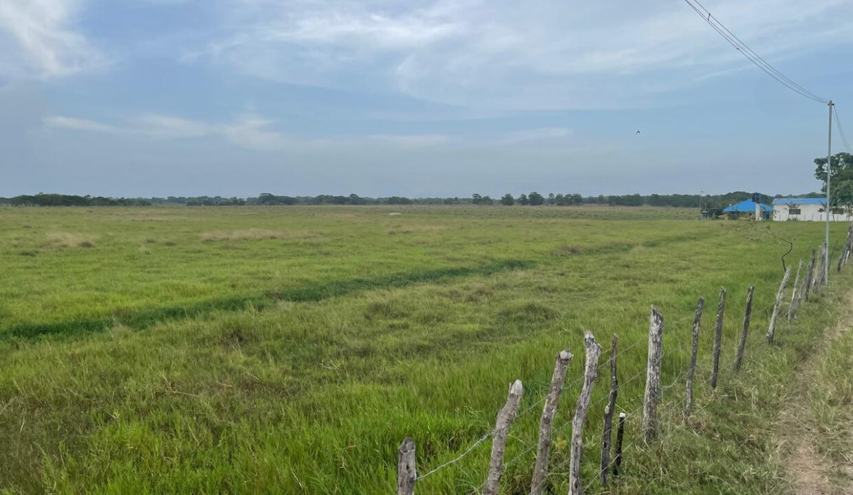areas_ganaderas (4)