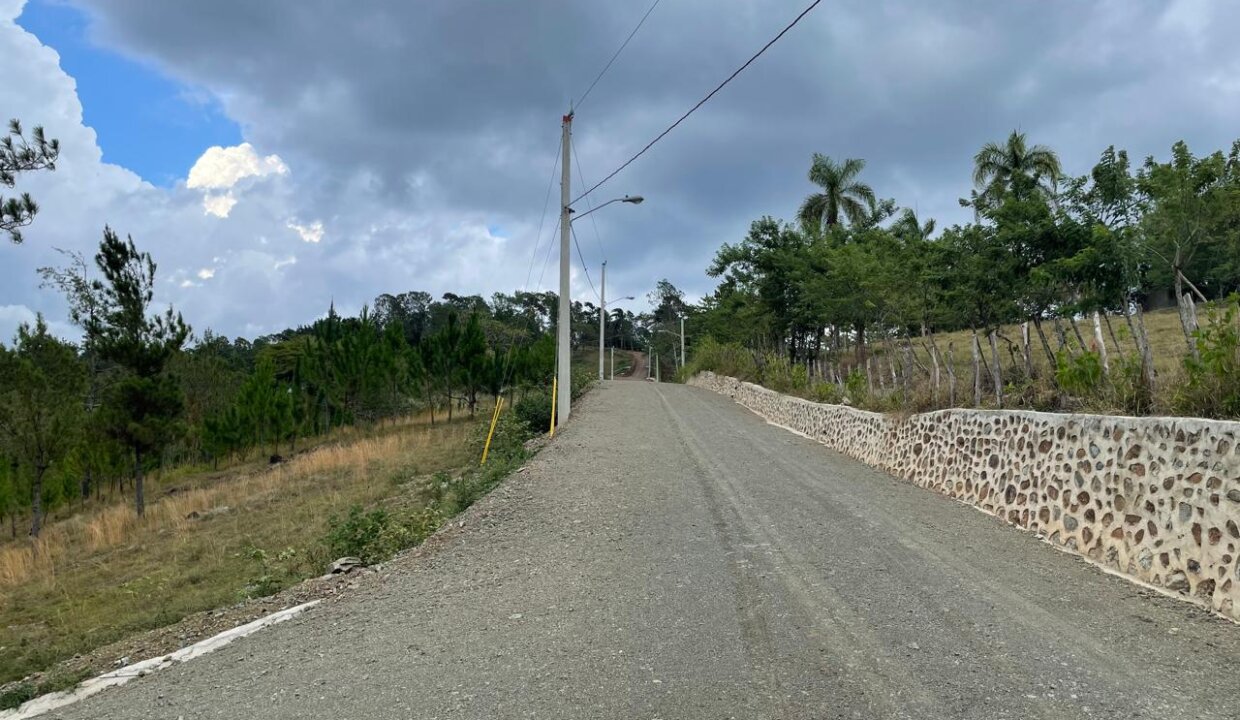 buenavista (2)
