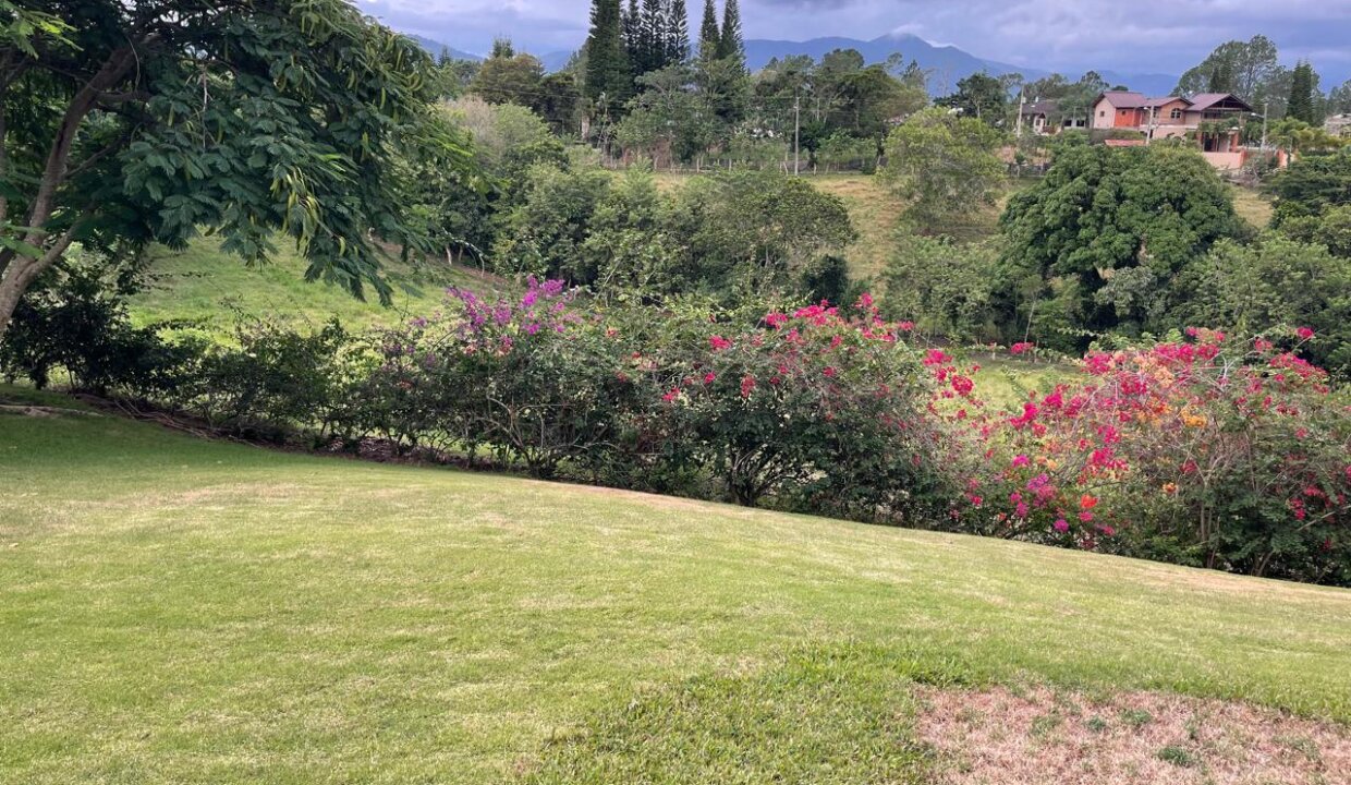 buenavista (5)